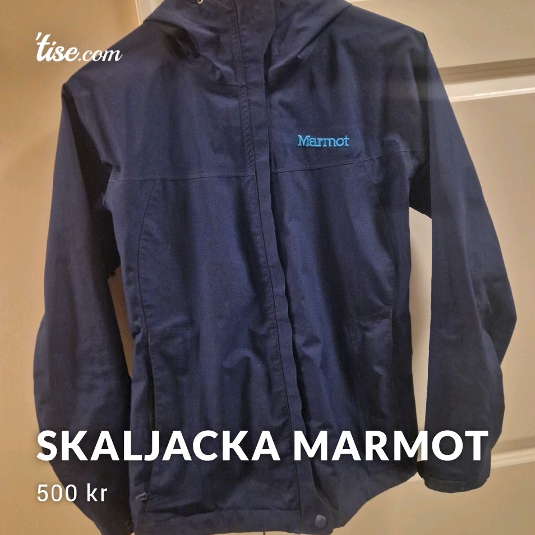 Skaljacka Marmot