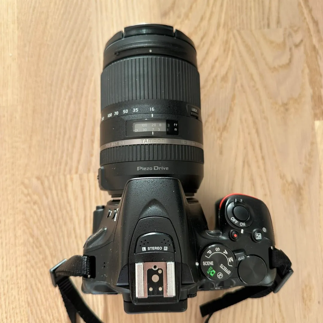 Nikon D5600