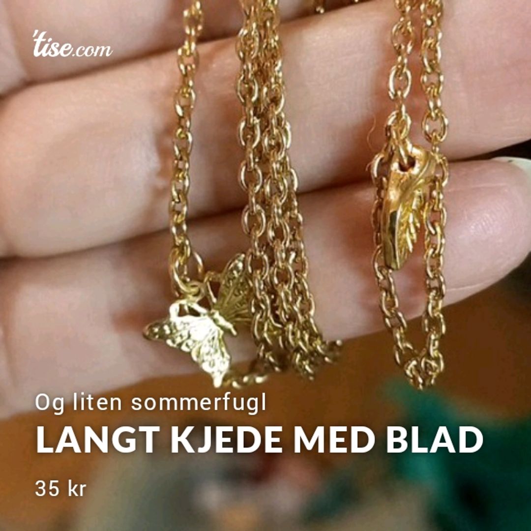 Langt Kjede Med Blad