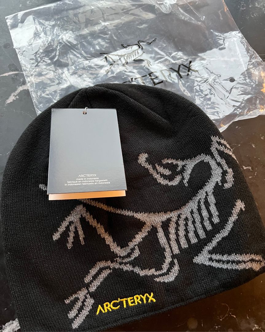 Arcteryx beanie