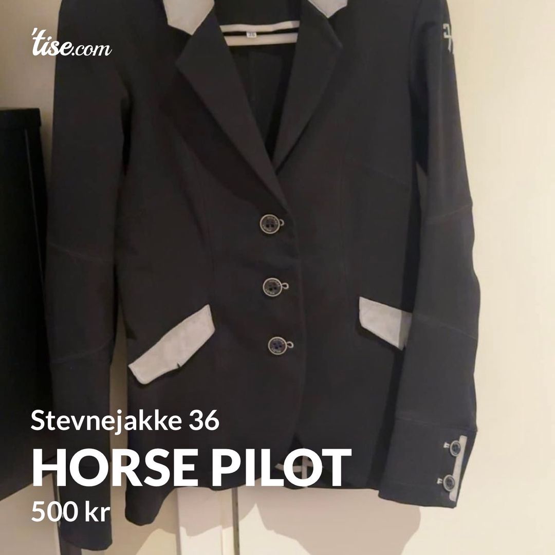 Horse Pilot