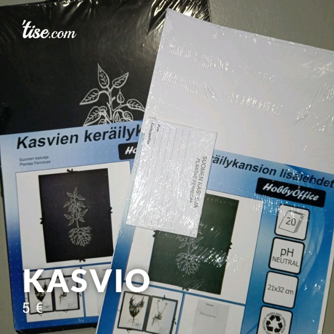 Kasvio