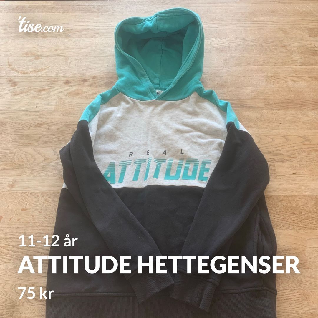 Attitude hettegenser