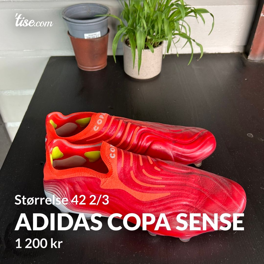 Adidas copa sense