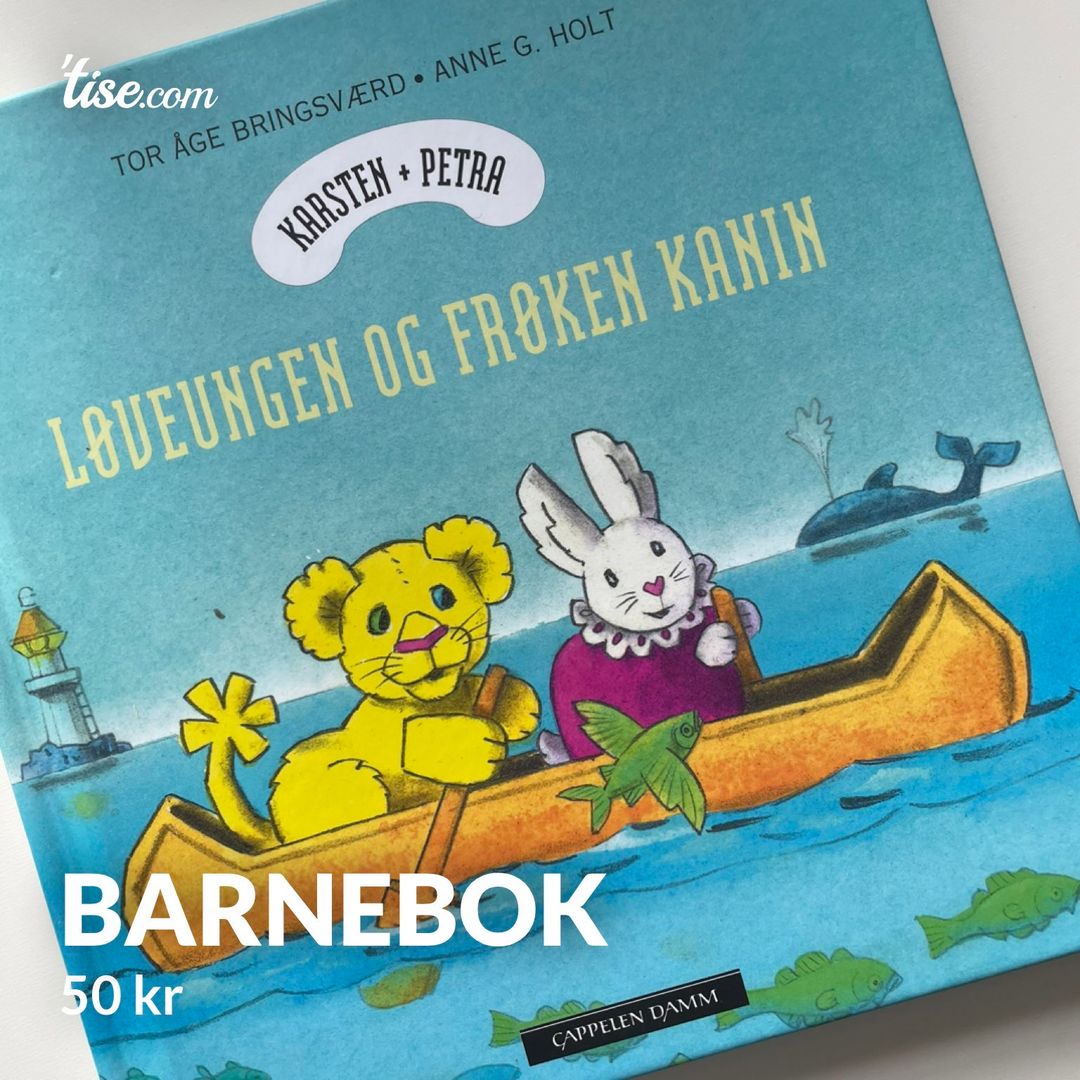 Barnebok