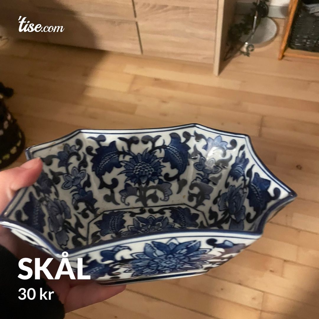 Skål