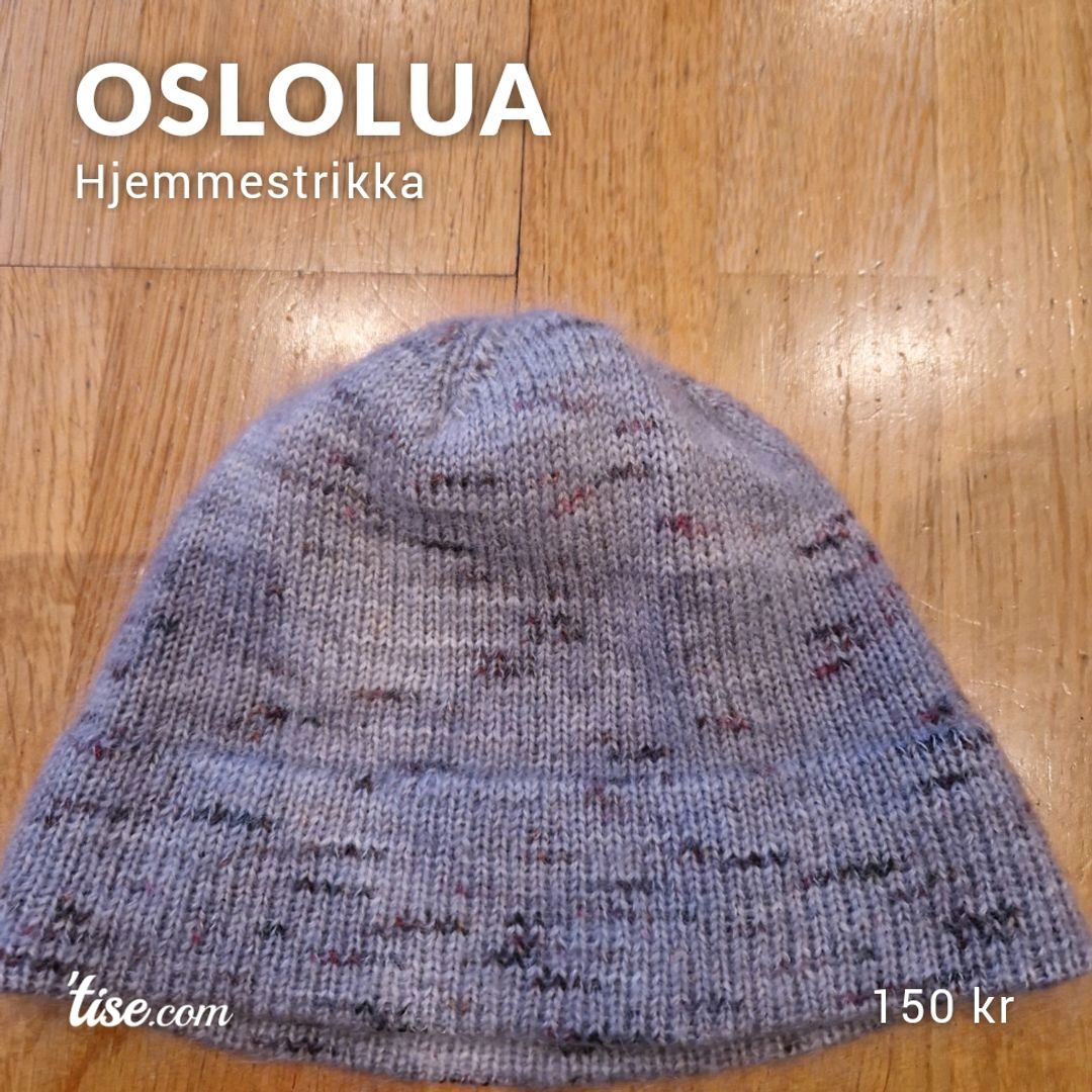 Oslolua