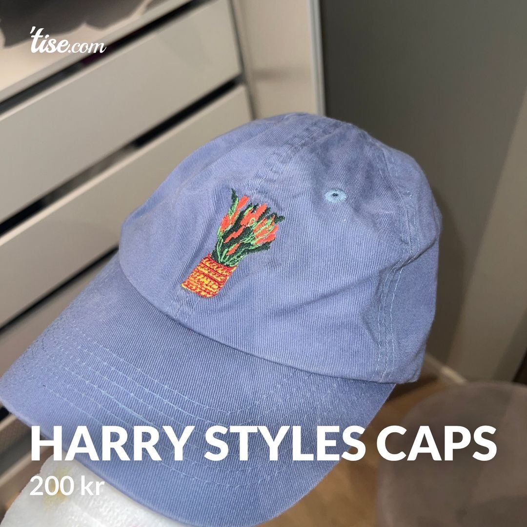 Harry Styles caps