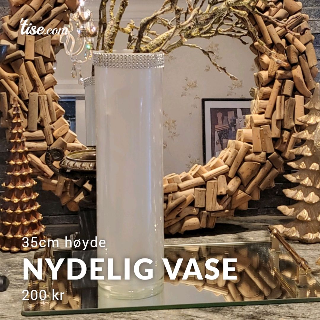 Nydelig Vase