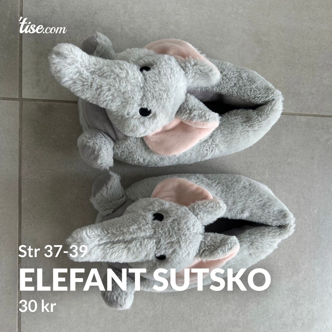 Elefant sutsko