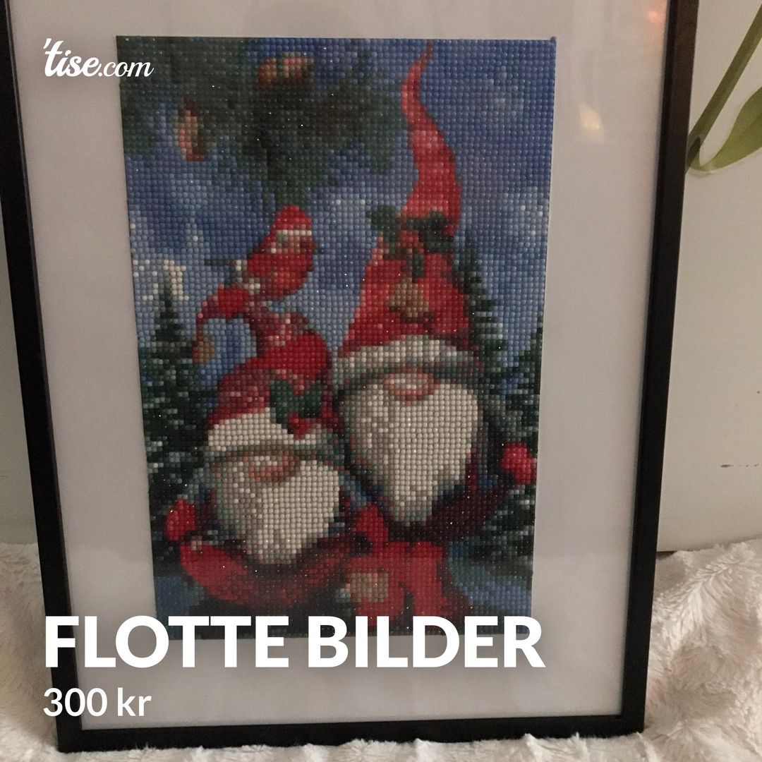 Flotte bilder