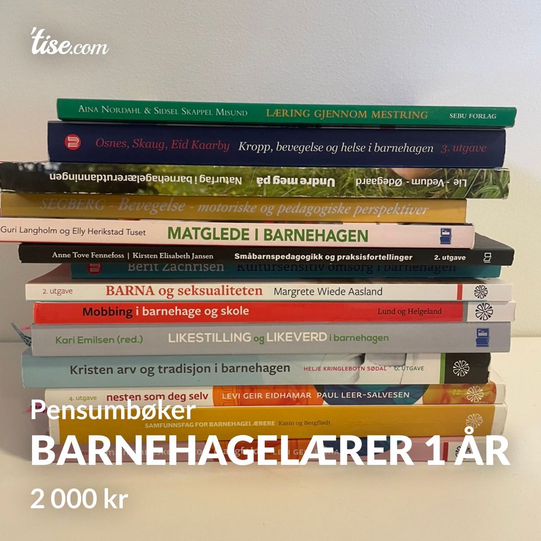 Barnehagelærer 1 år