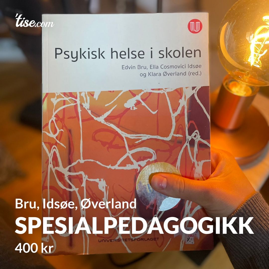 Spesialpedagogikk