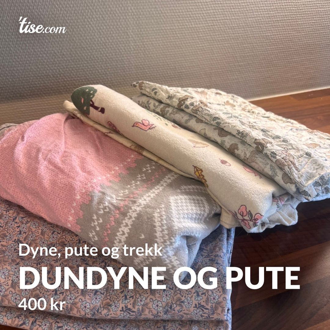 Dundyne og pute