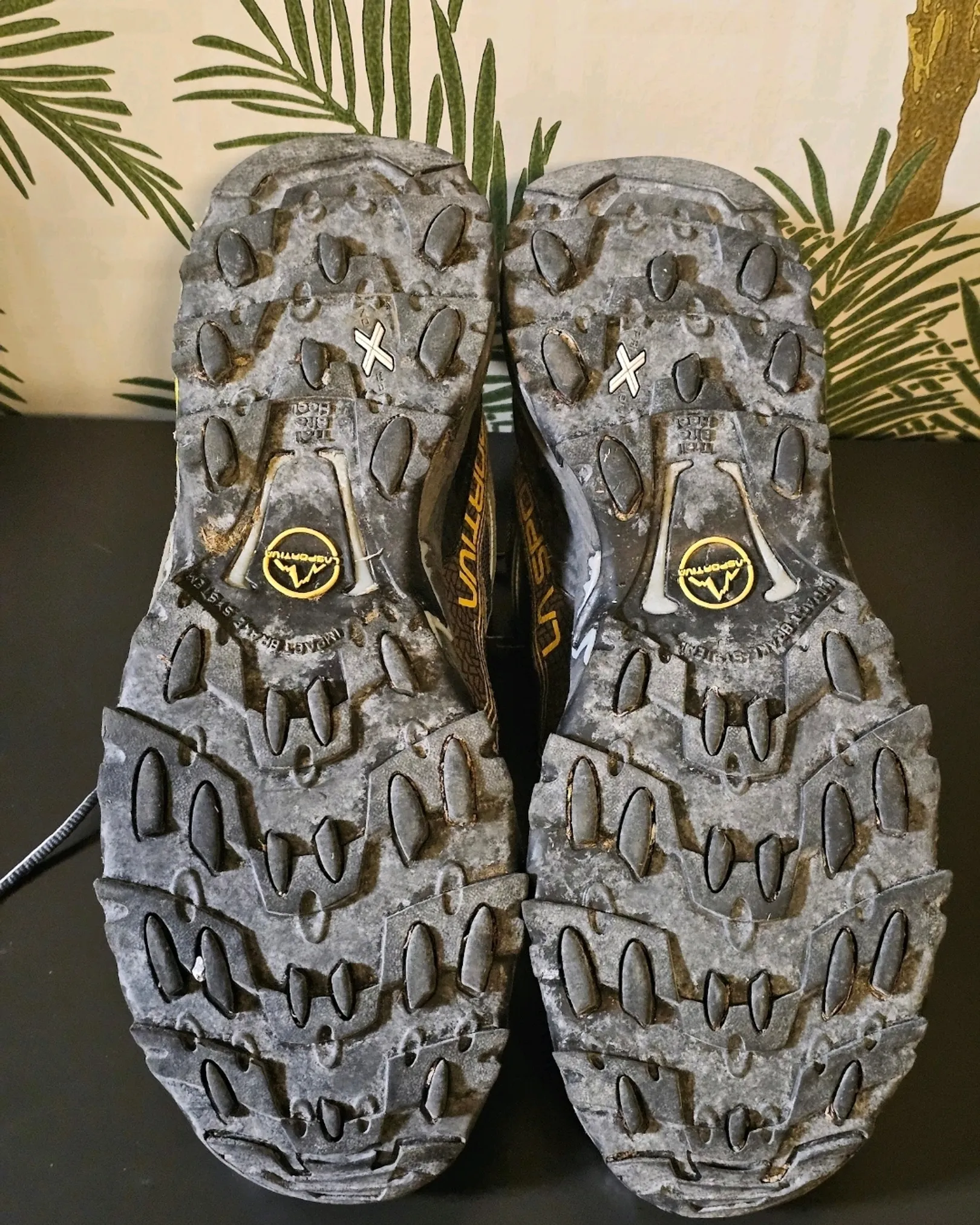 La sportiva