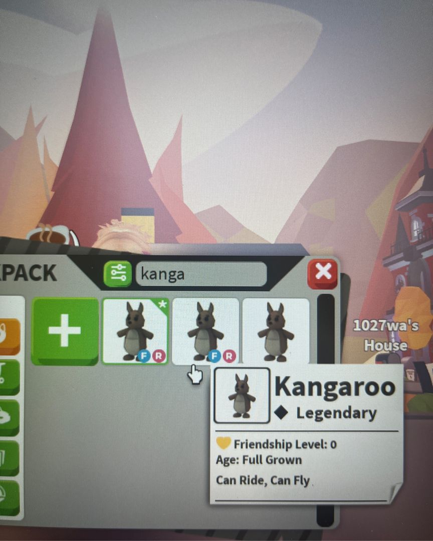 Kangaroo