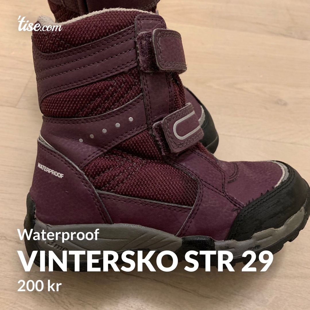 Vintersko str 29