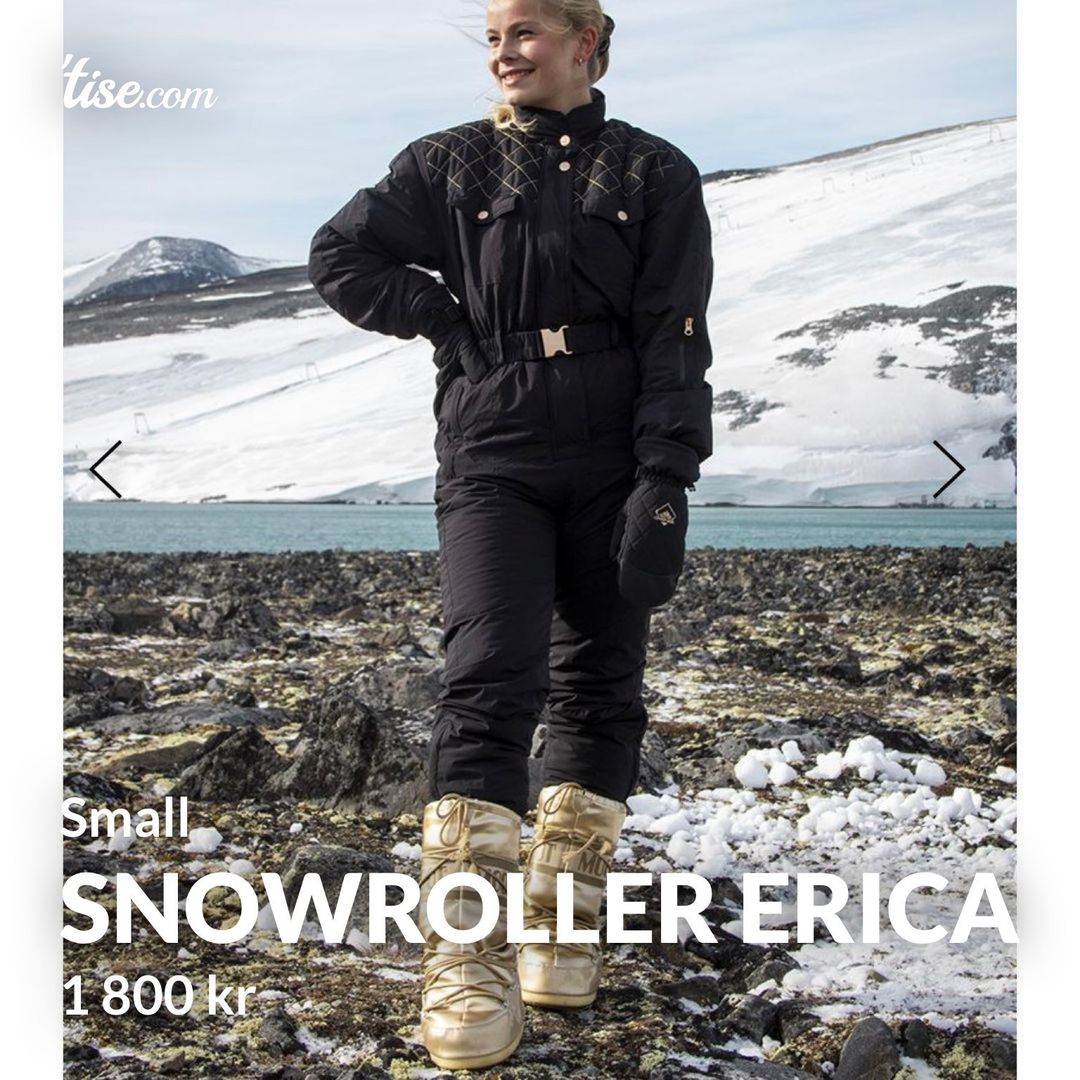 Snowroller ERICA