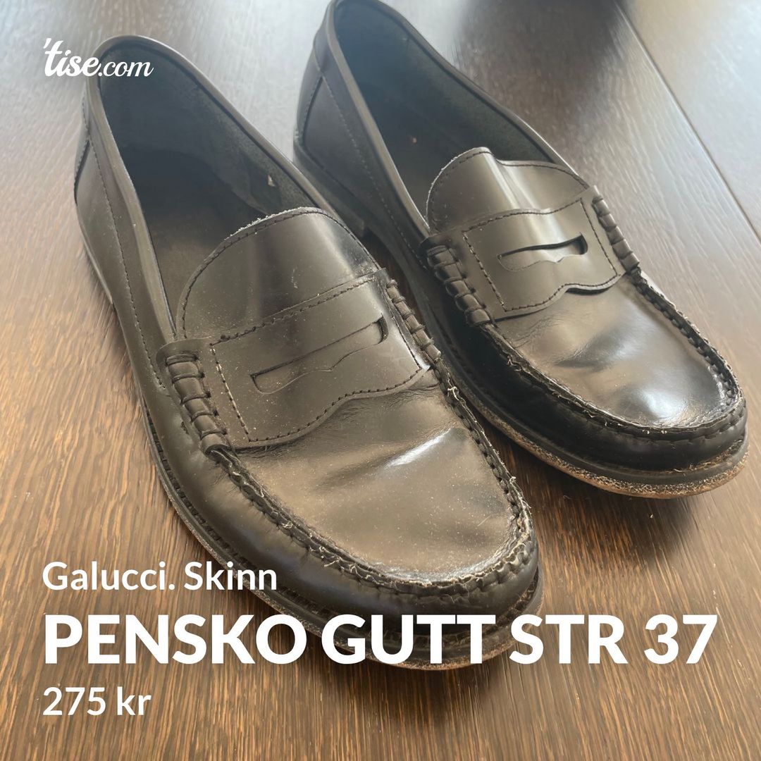 Pensko gutt str 37