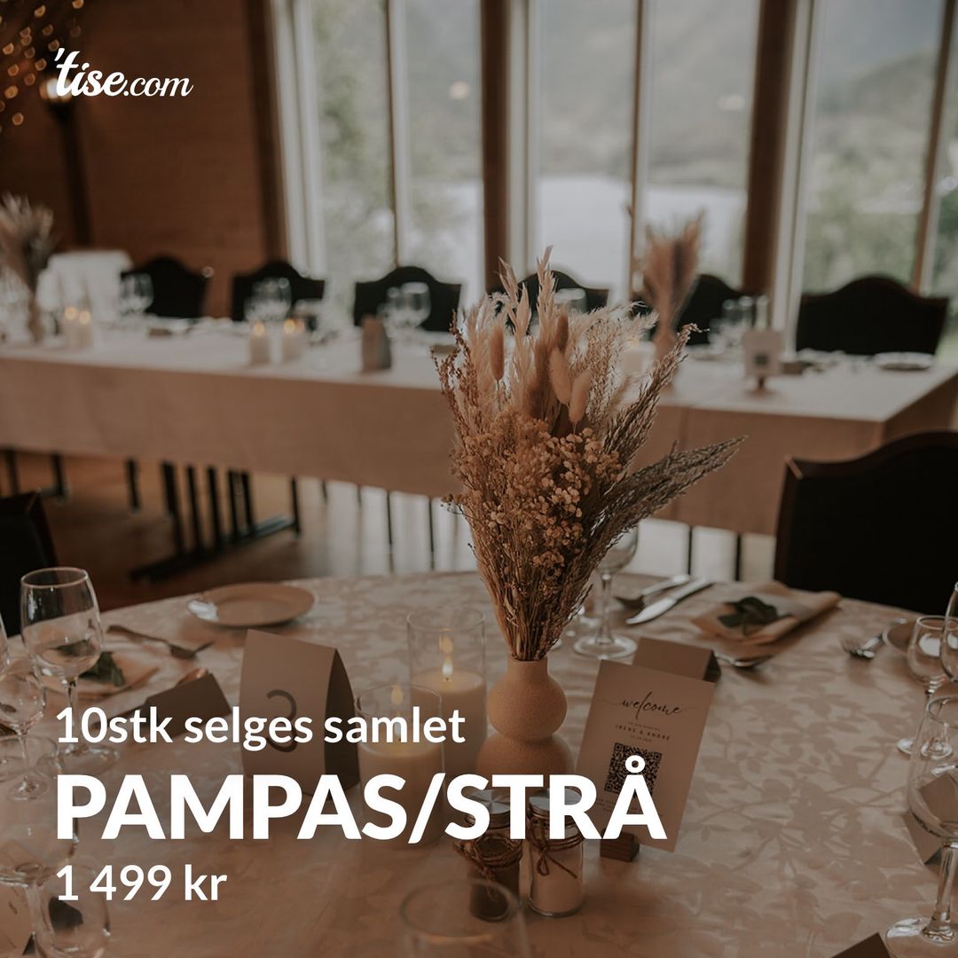 Pampas/strå