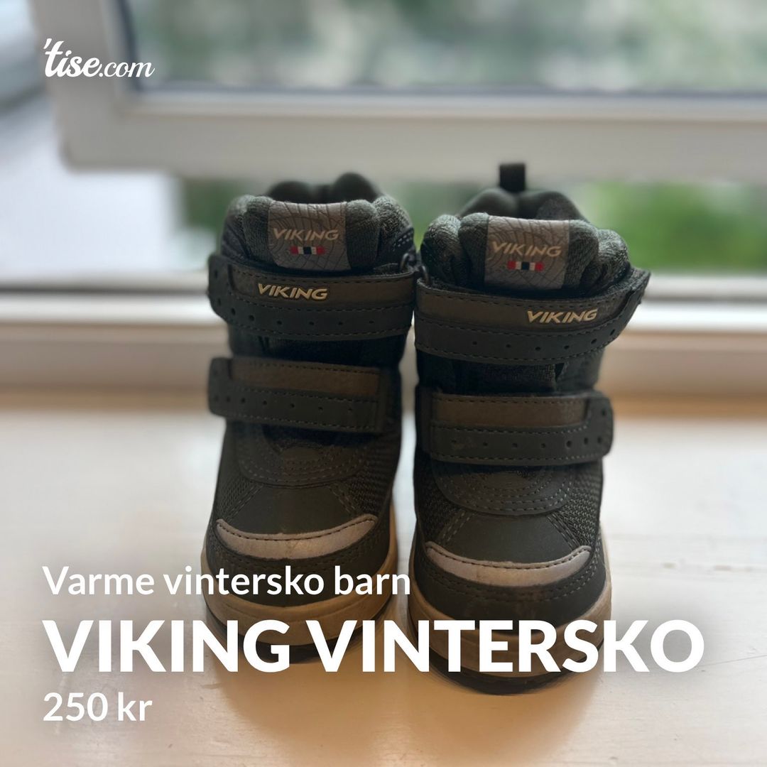 Viking vintersko