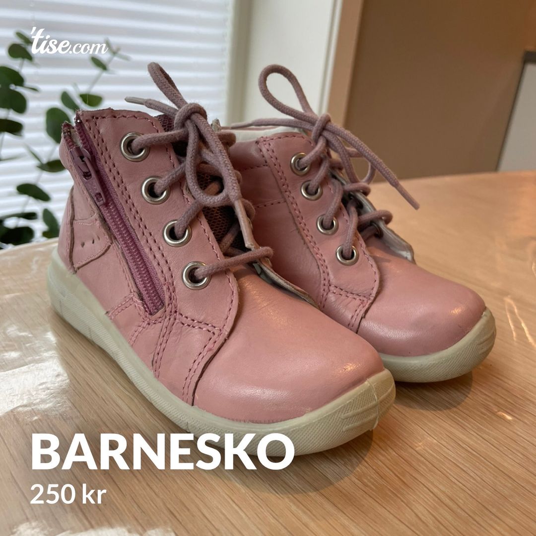 Barnesko