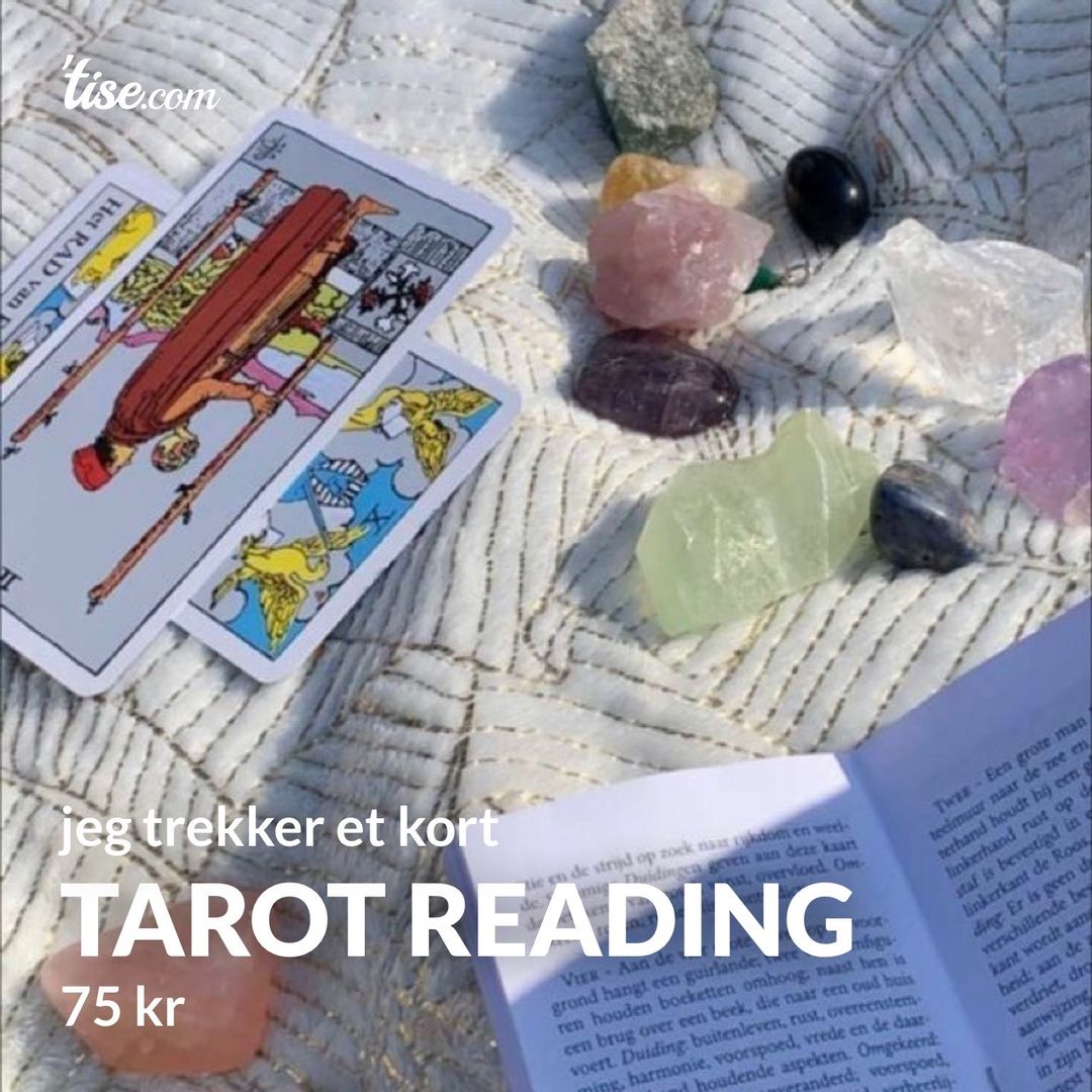 tarot reading