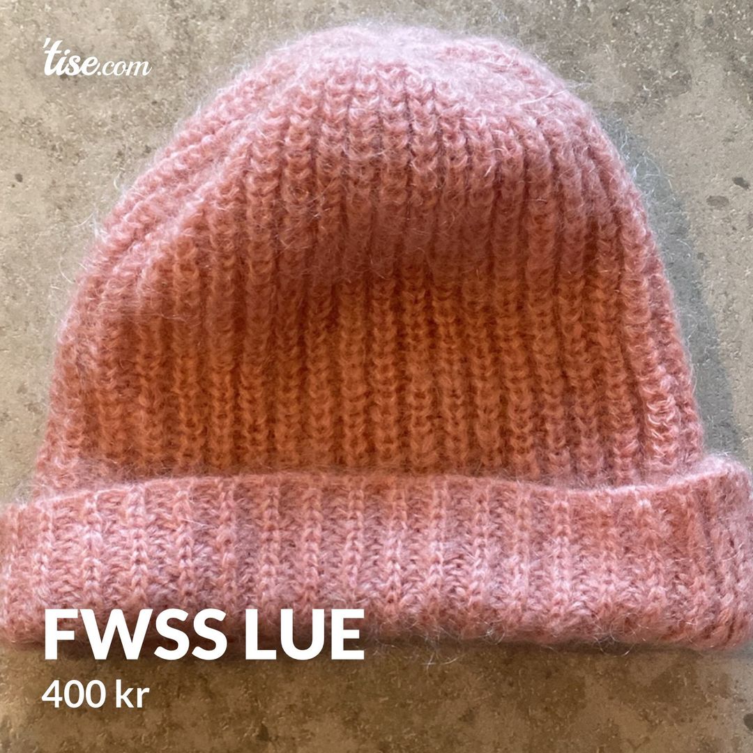 FWSS lue