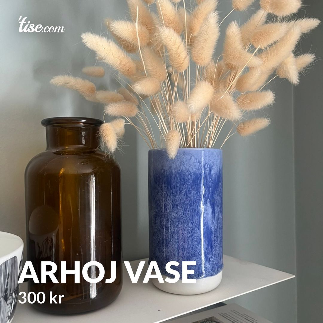 Arhoj vase