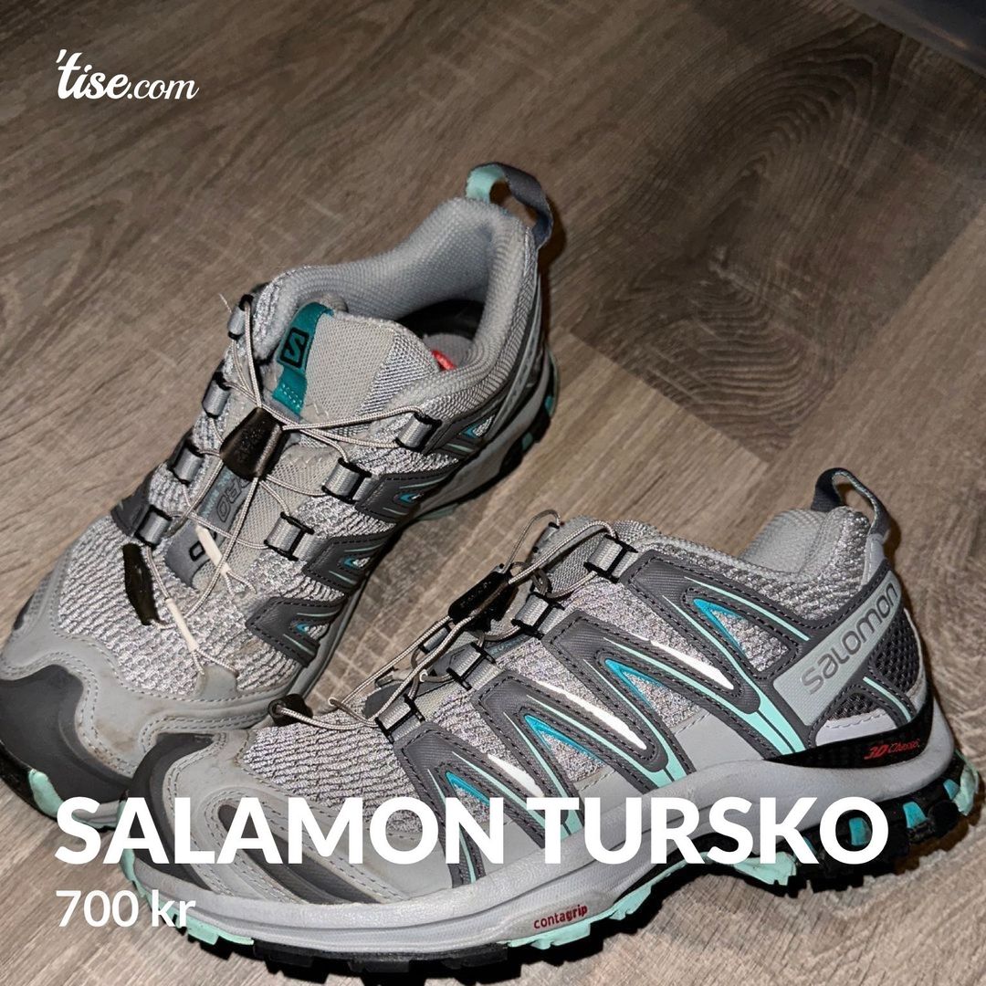 Salamon Tursko