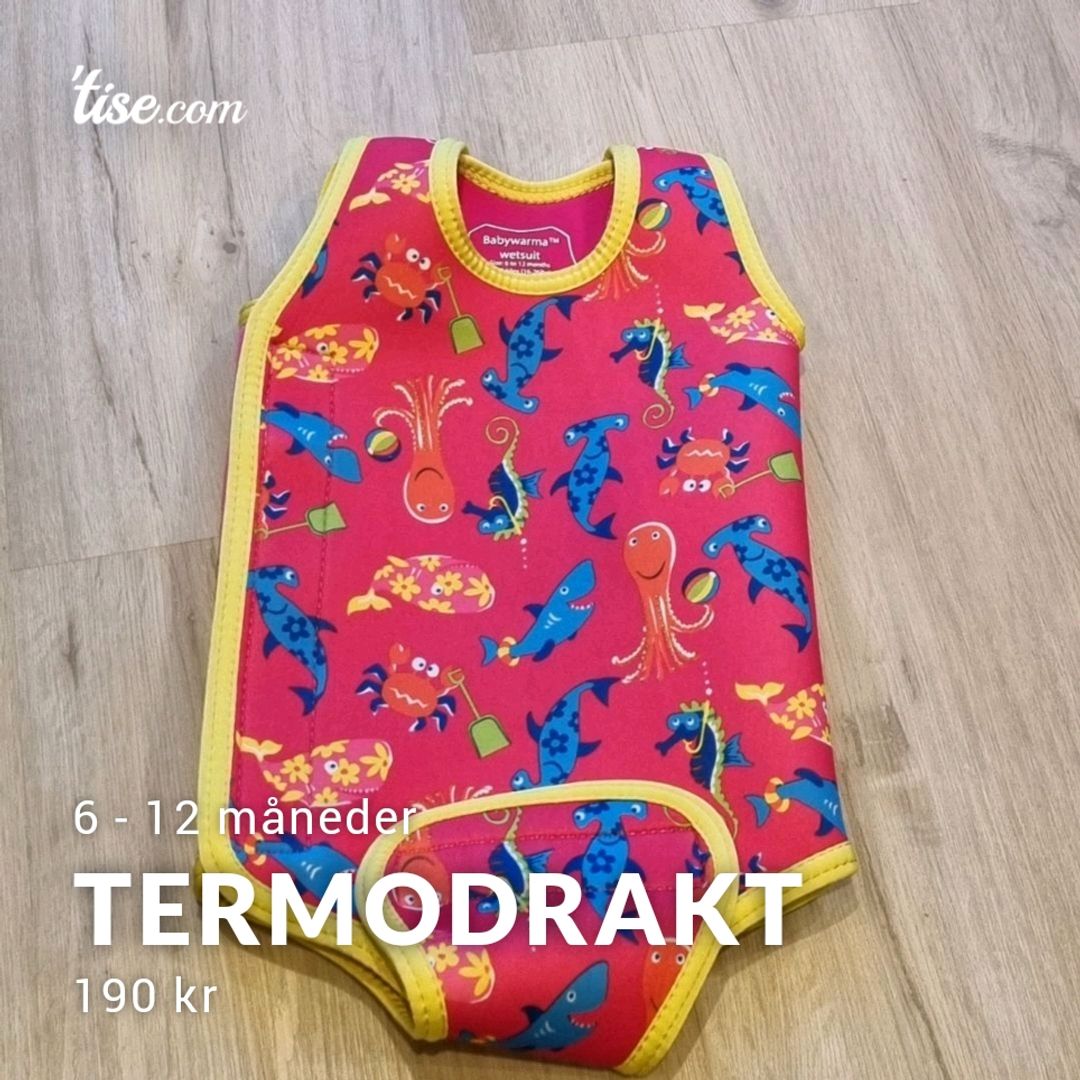 Termodrakt