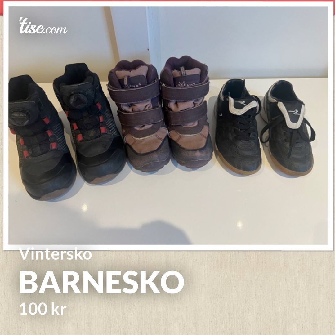 Barnesko