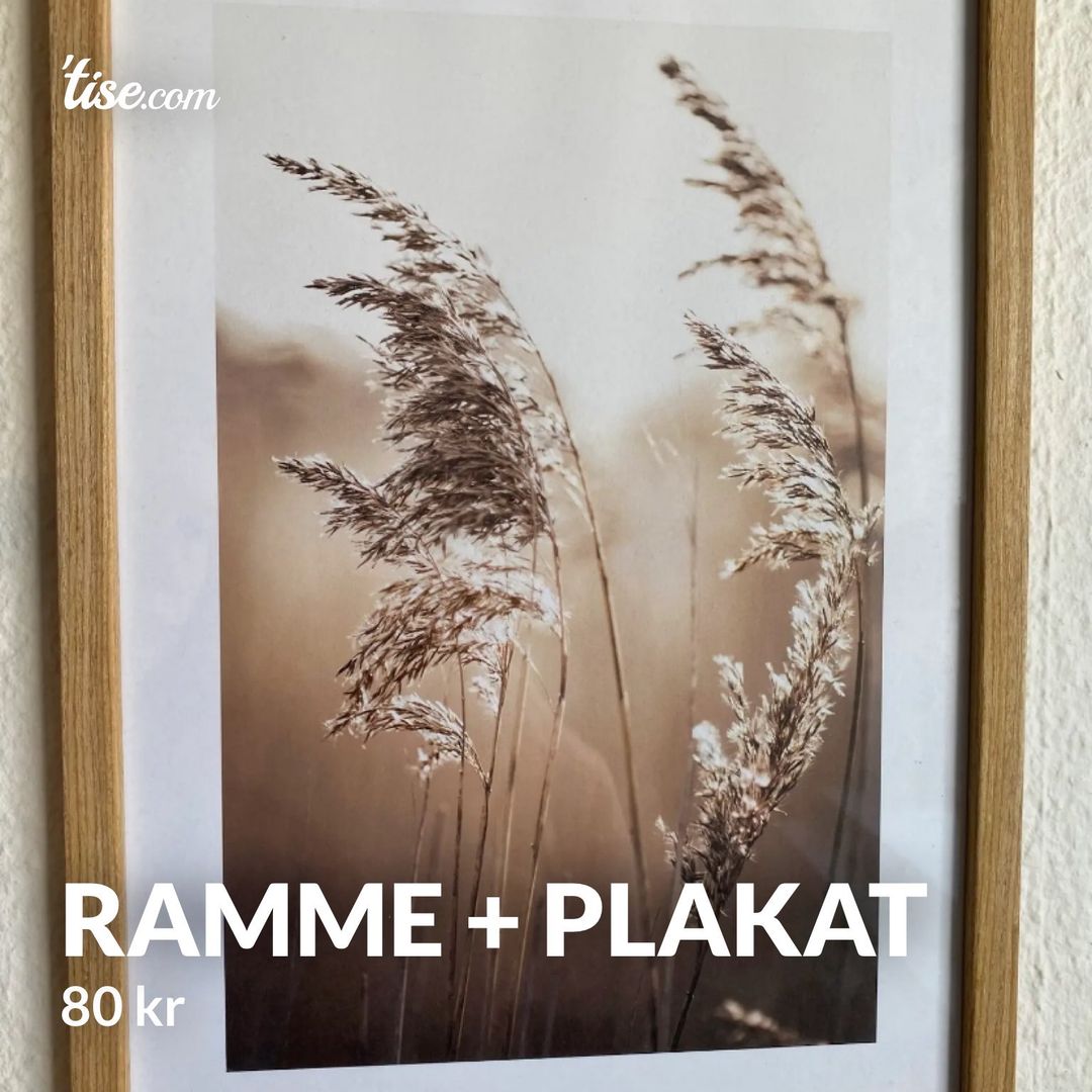 Ramme + plakat