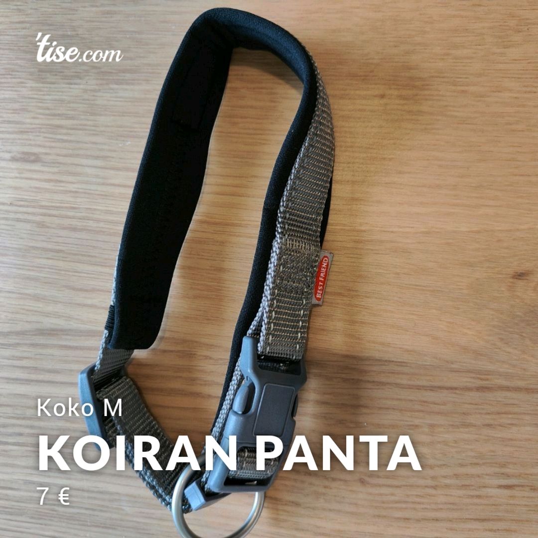 Koiran panta