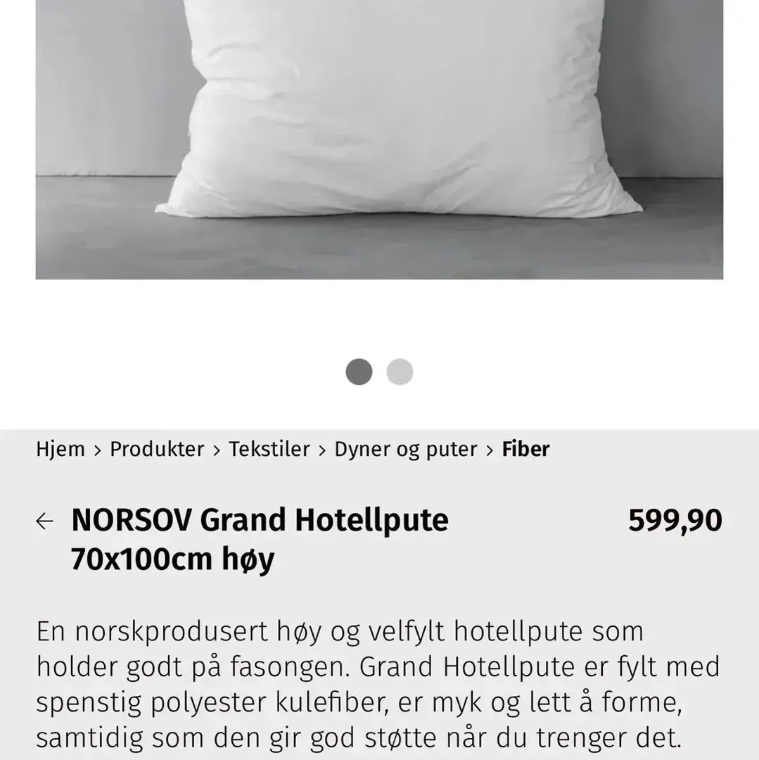 Norsov hotellpute