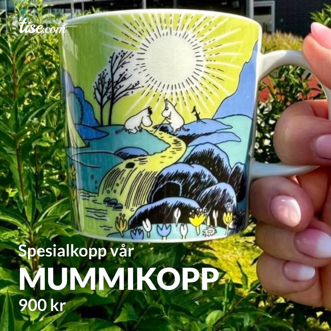 Mummikopp