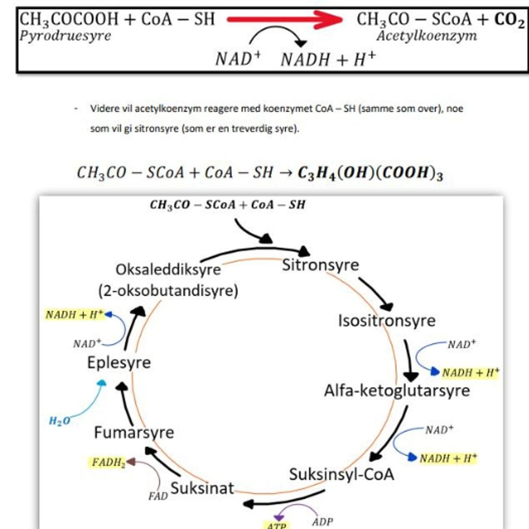 Kjemi 2