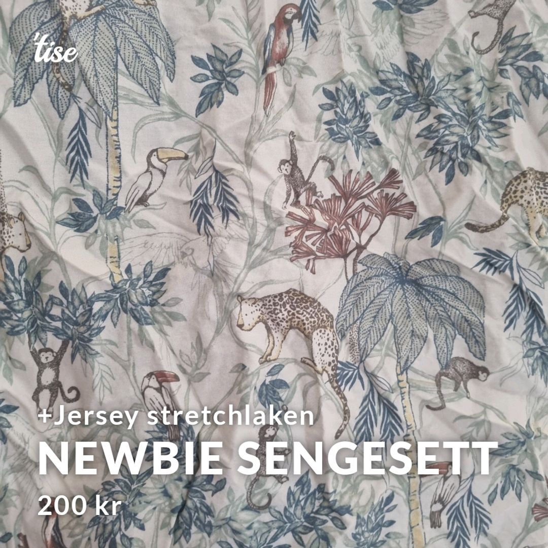 Newbie sengesett