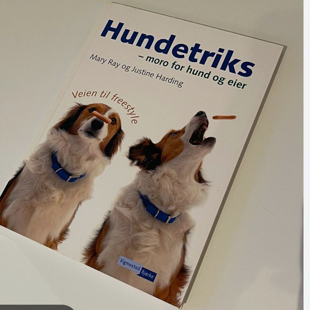 Hundetriks  bok