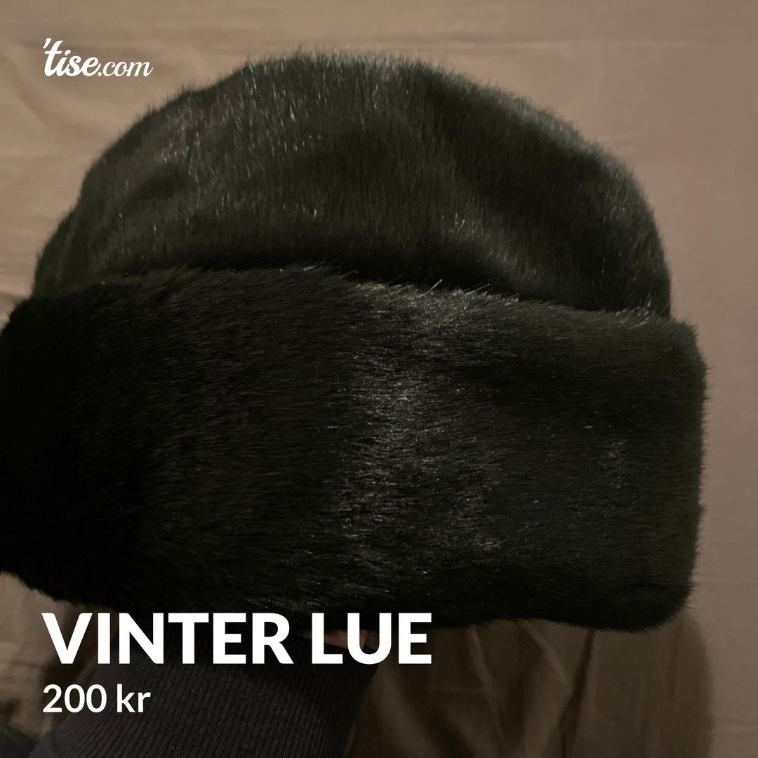 Vinter lue