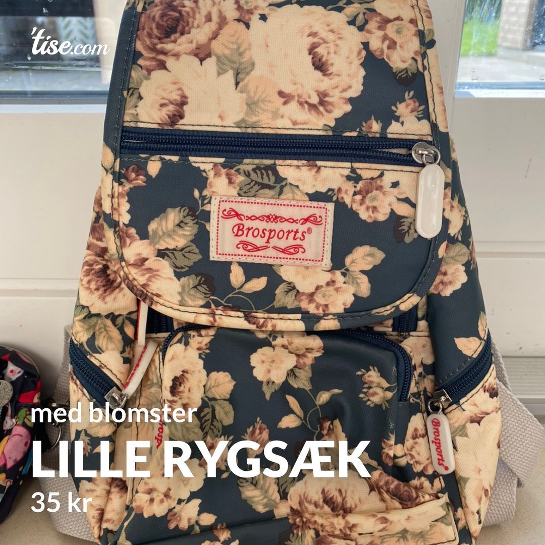 Lille rygsæk