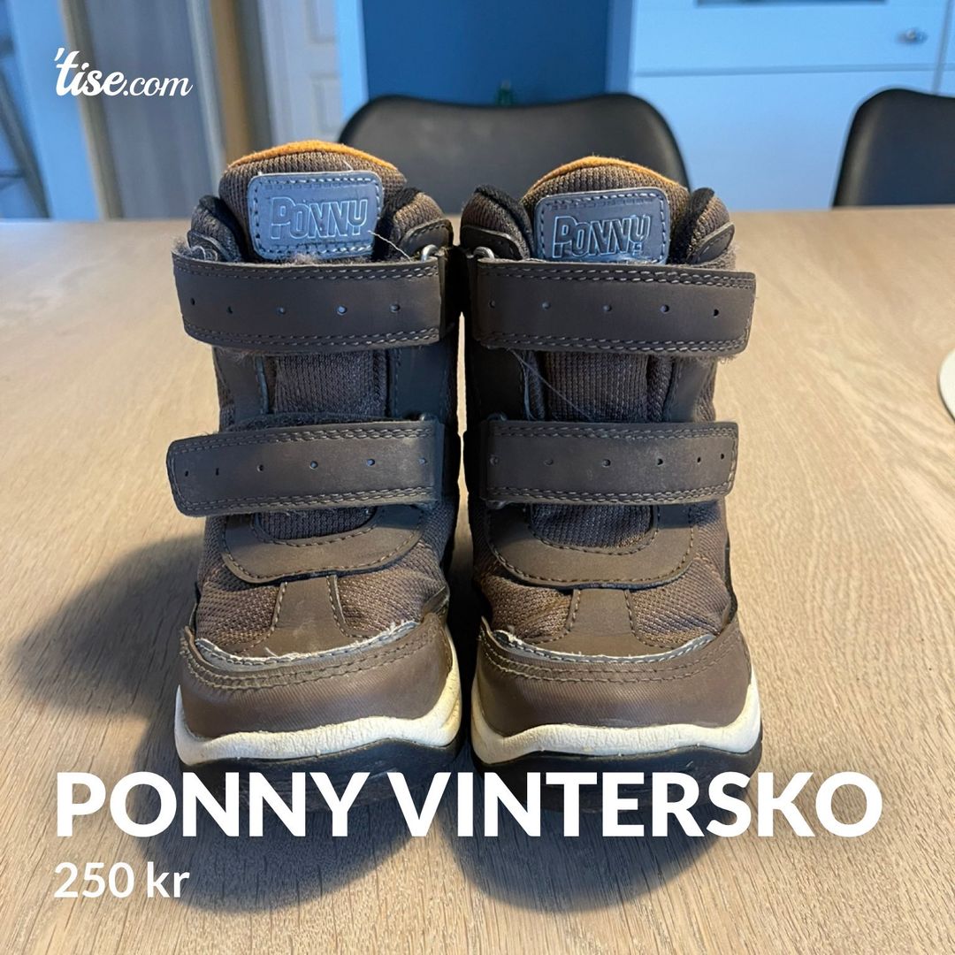 Ponny vintersko