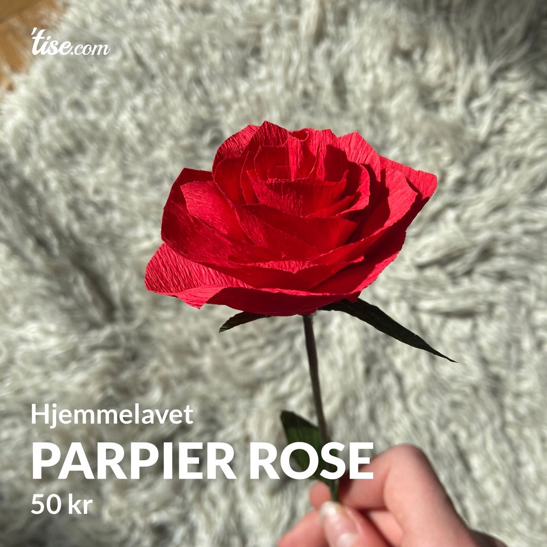 Parpier rose