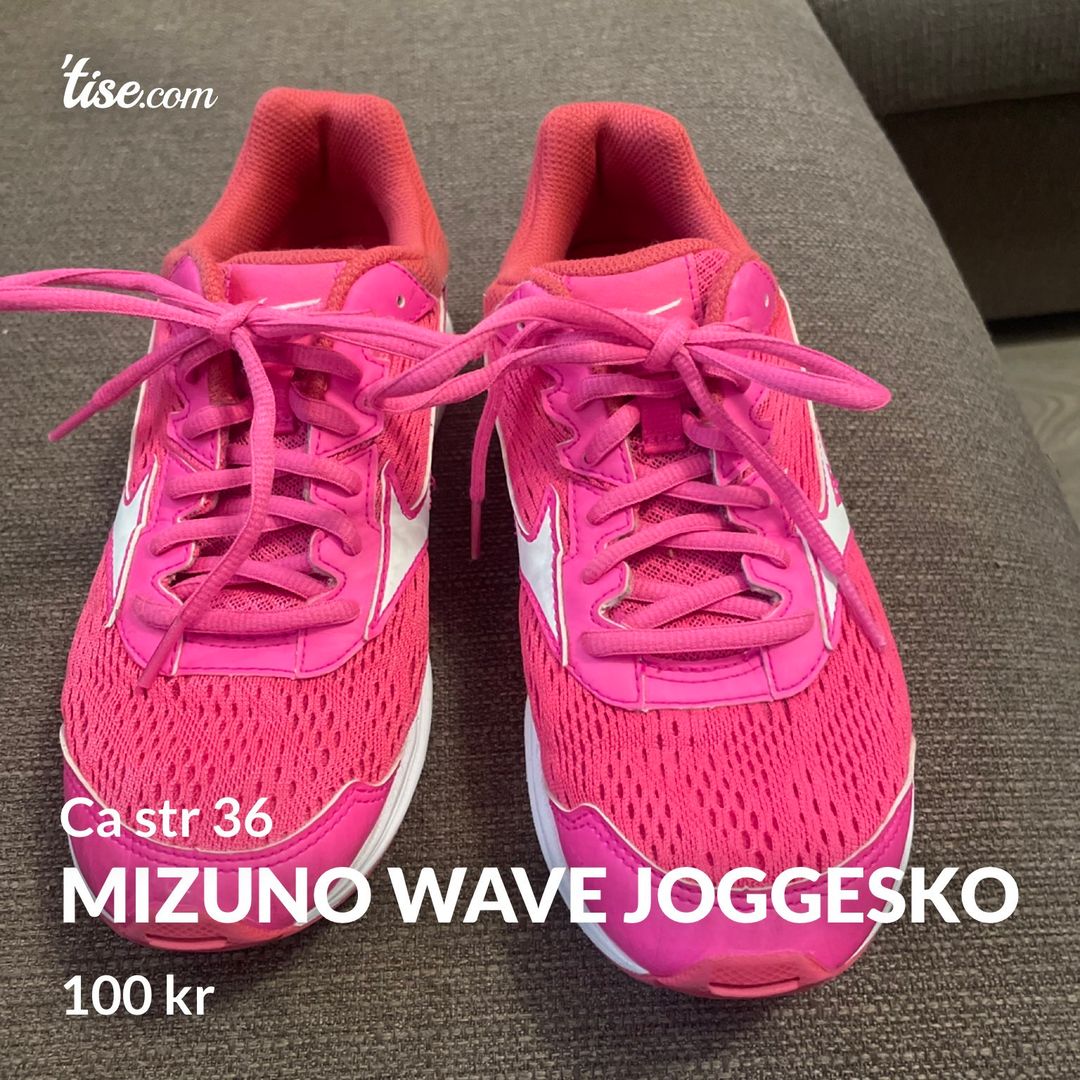 Mizuno wave joggesko