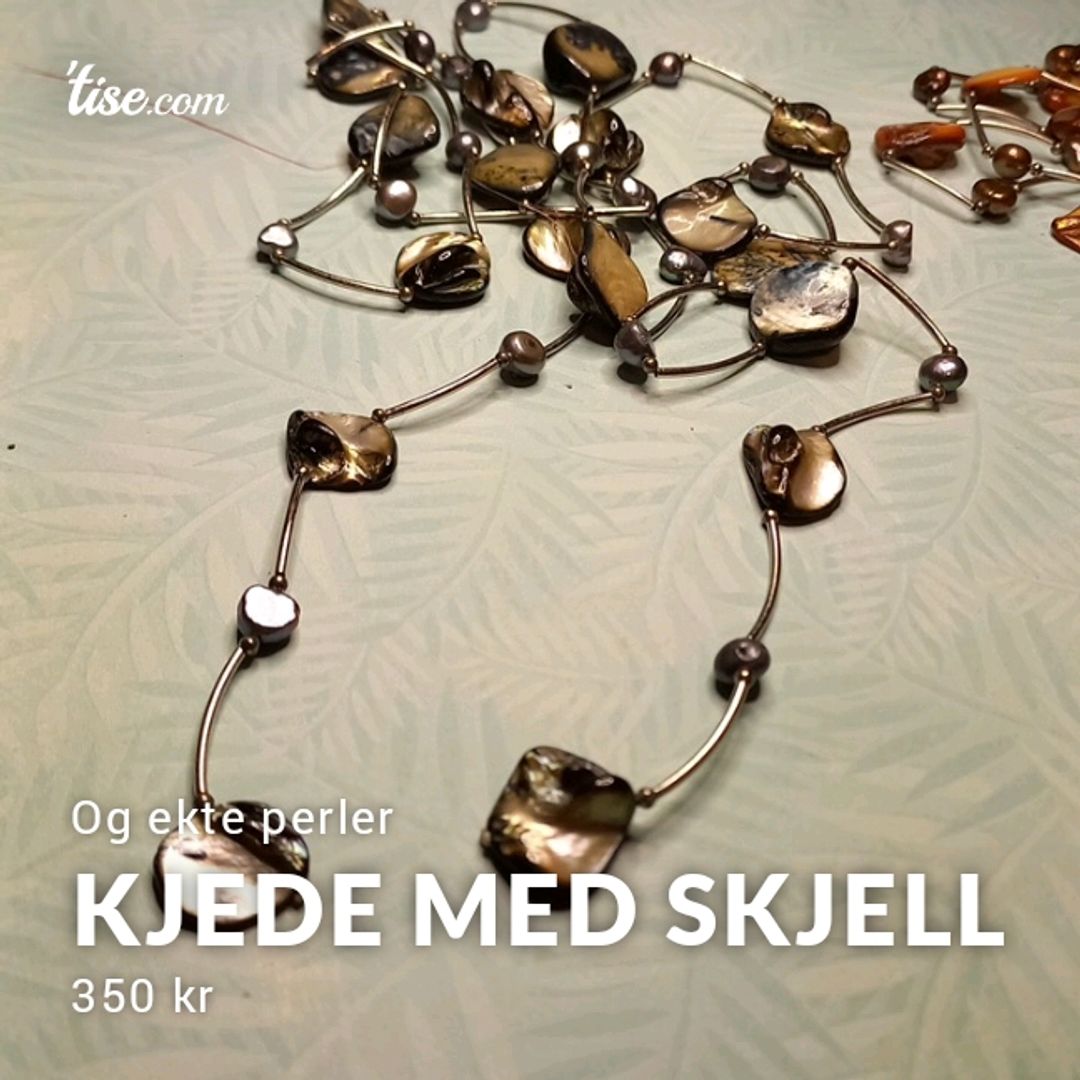 Kjede Med Skjell