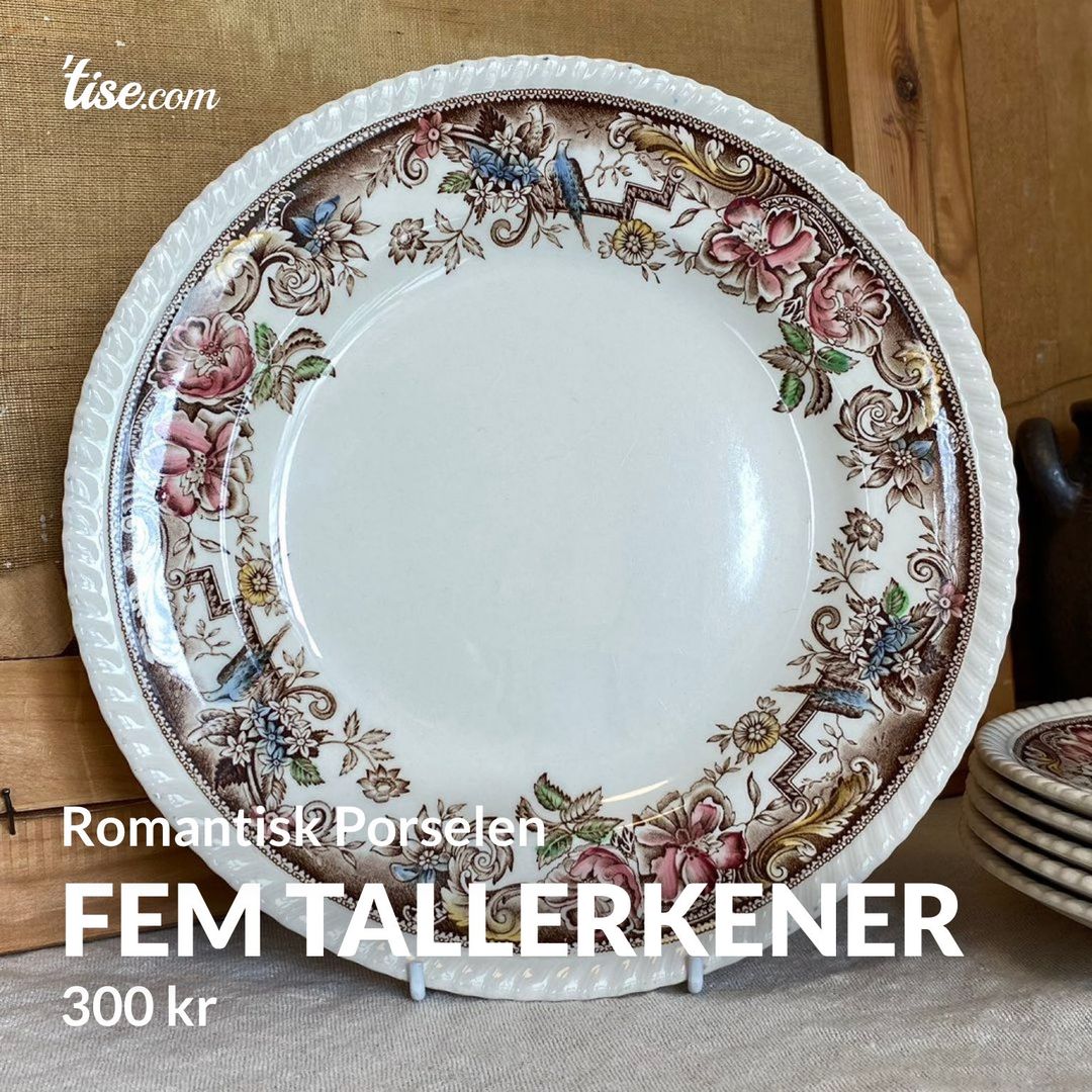 Fem Tallerkener