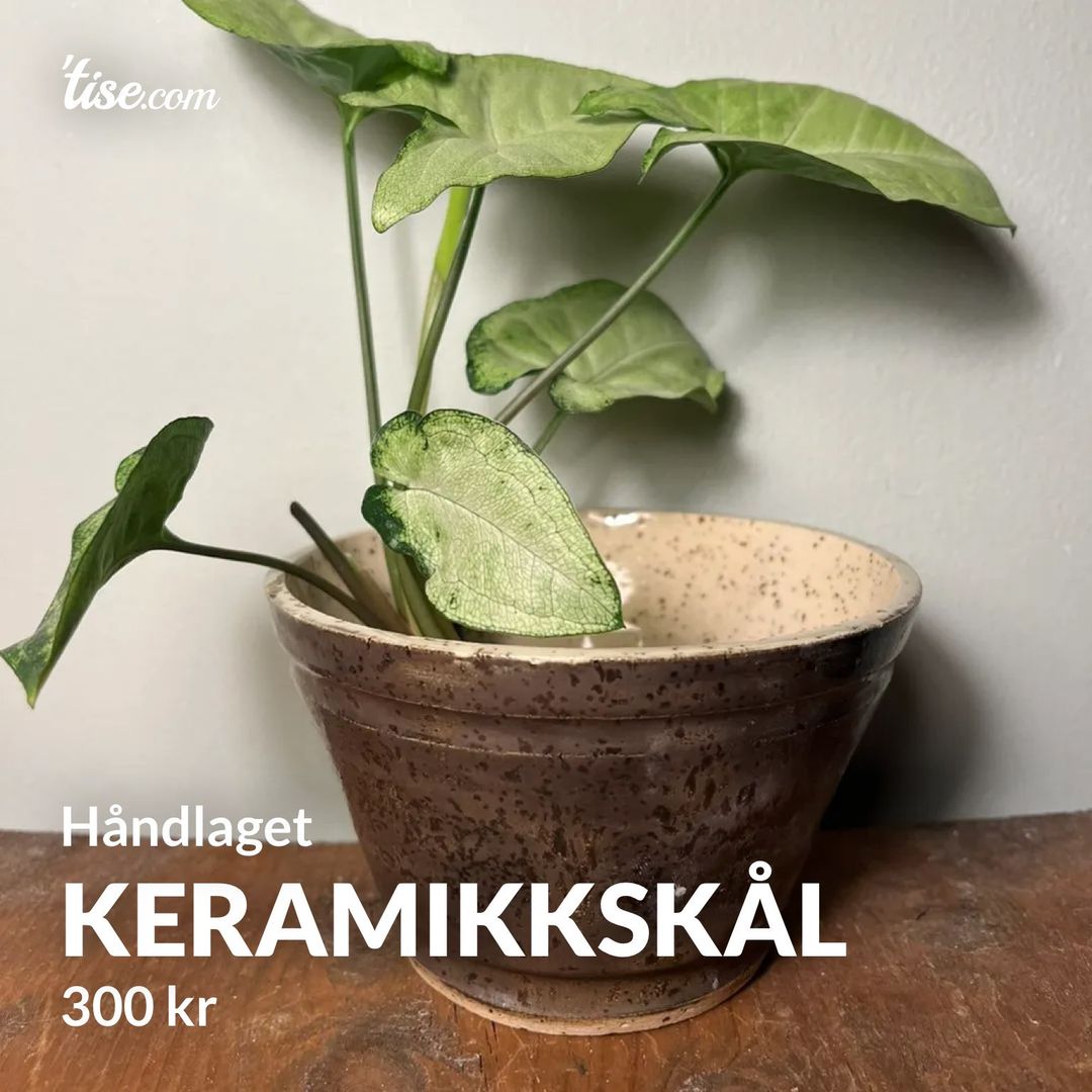 Keramikkskål