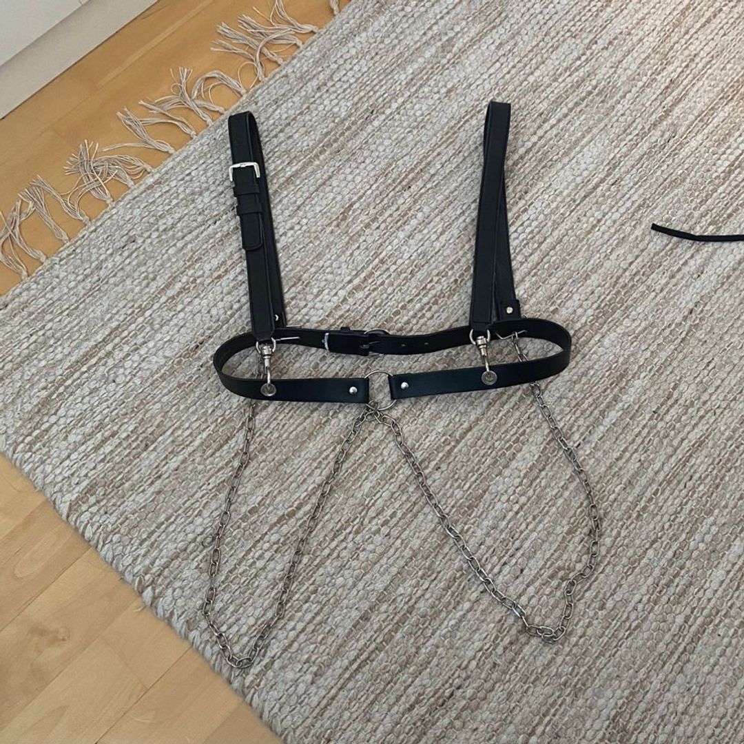 Harness