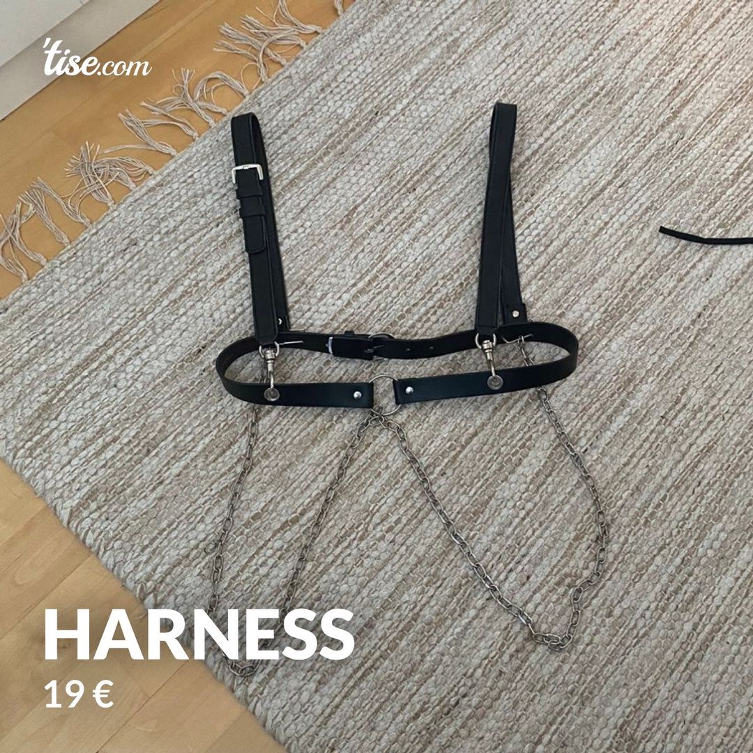 Harness