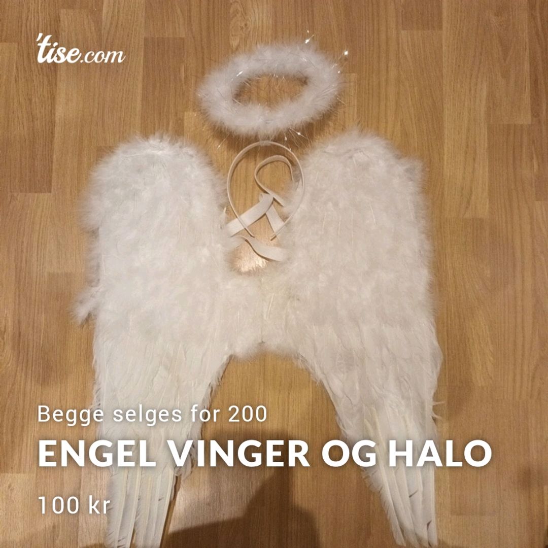 Engel Vinger Og Halo